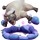 Polymorph